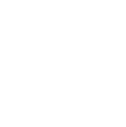 Fire Beauty Logo
